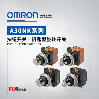 OMRON 欧姆龙 钥匙型旋转开关 A30NK-2ML-01BA-P101
